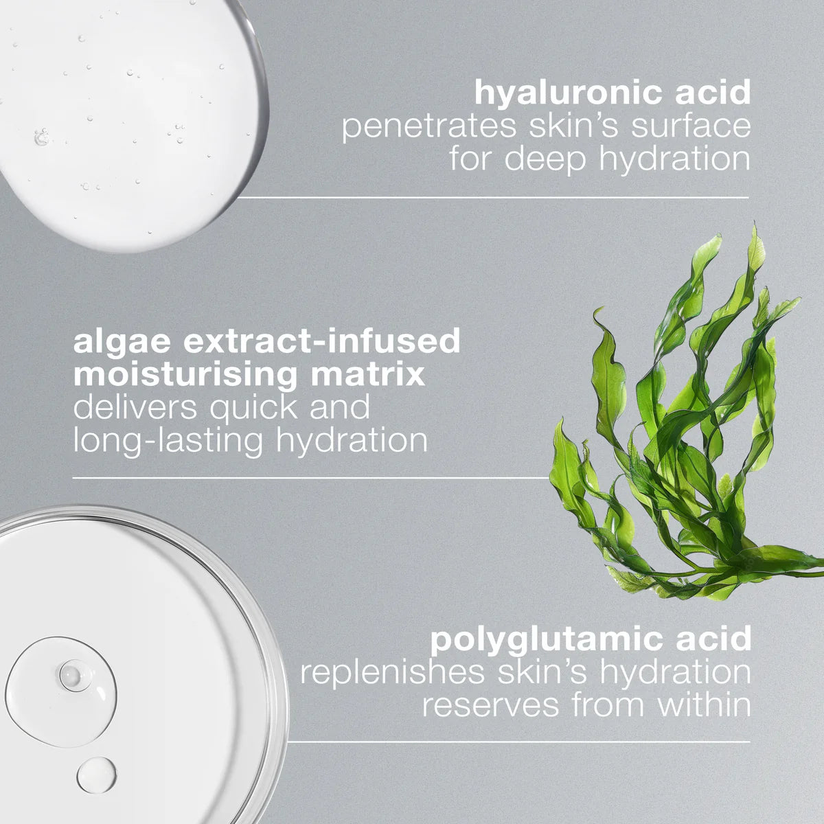 dermalogica-circular-hydration-serum-3