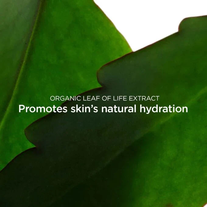 clarins-fresh-scrub-50ml-80116276-3
