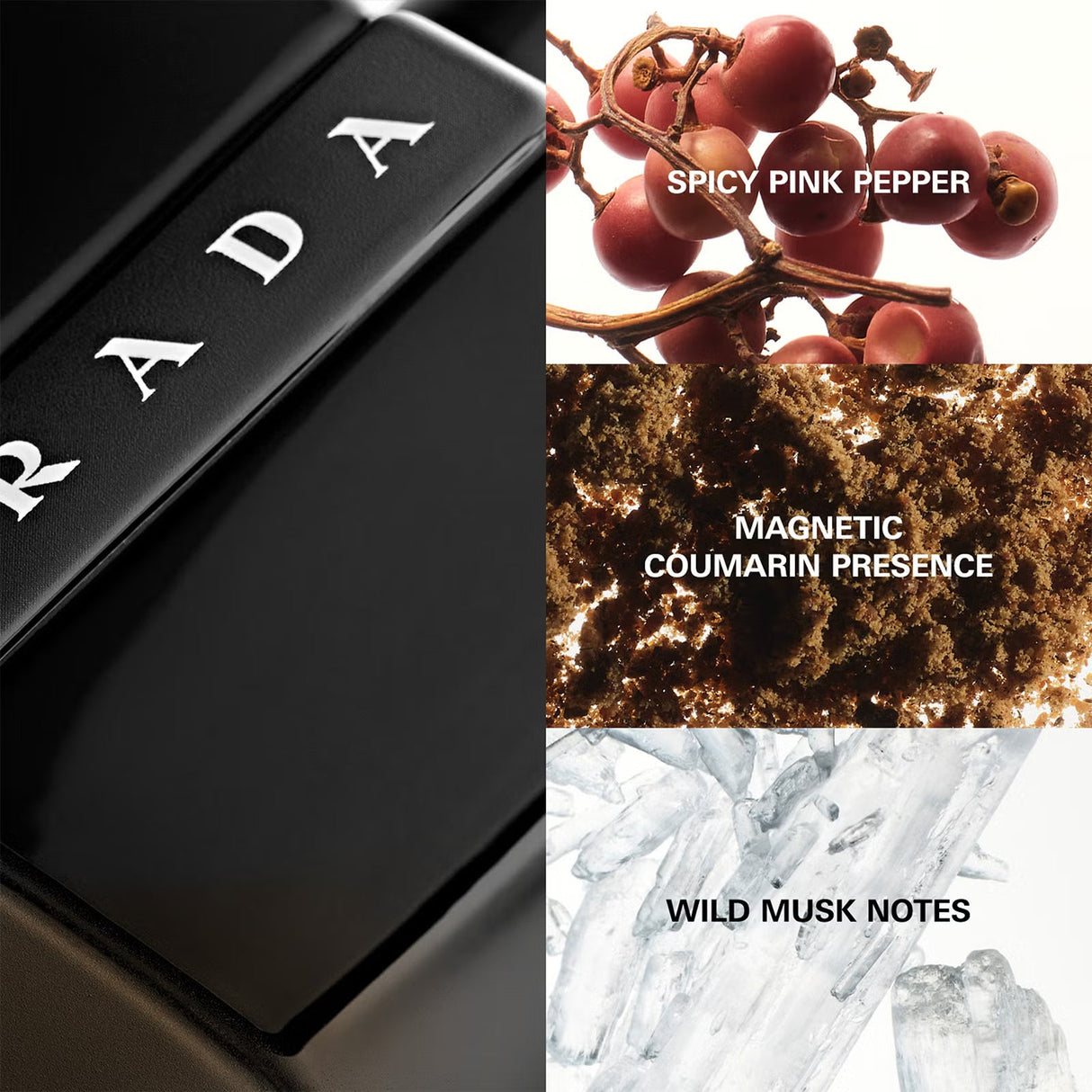 prada-luna-rossa-black-edp-50ml-ld007700-3