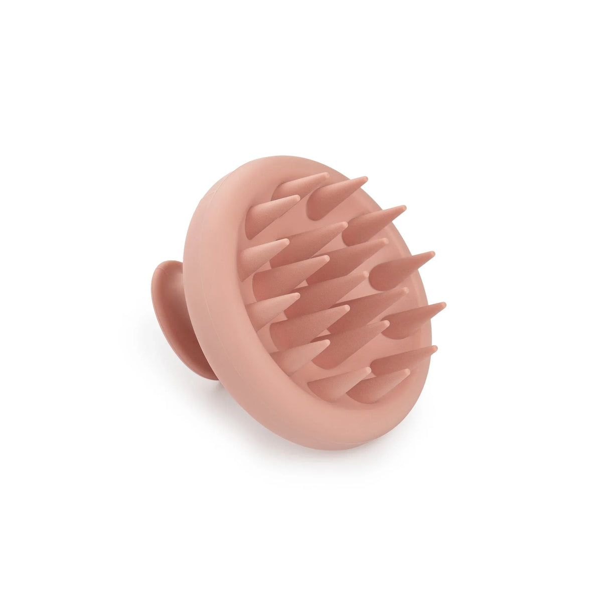 the-scalp-brush-1