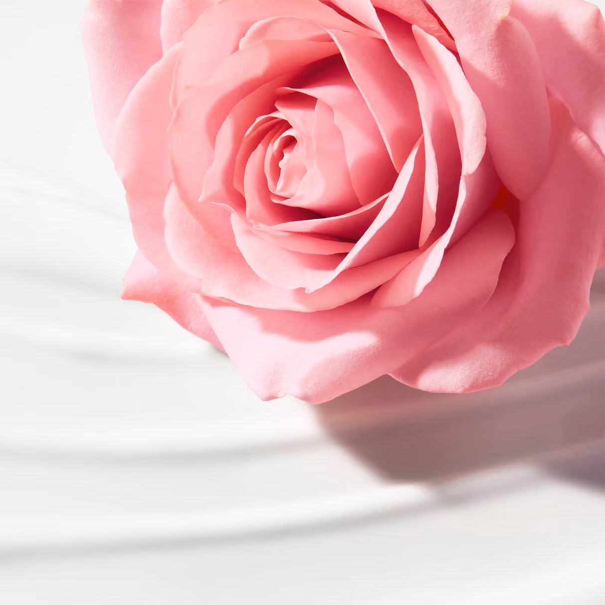 dis-nuxe-very-rose-cleansing-milk-200ml-vn052101-3