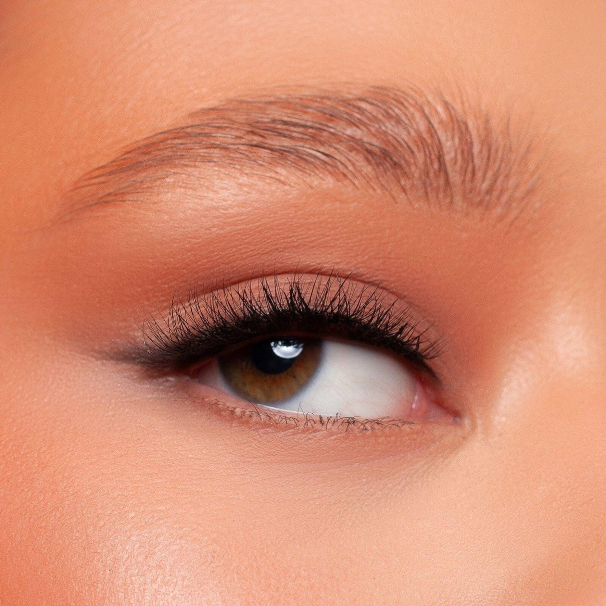 kash-beauty-grace-lash-2