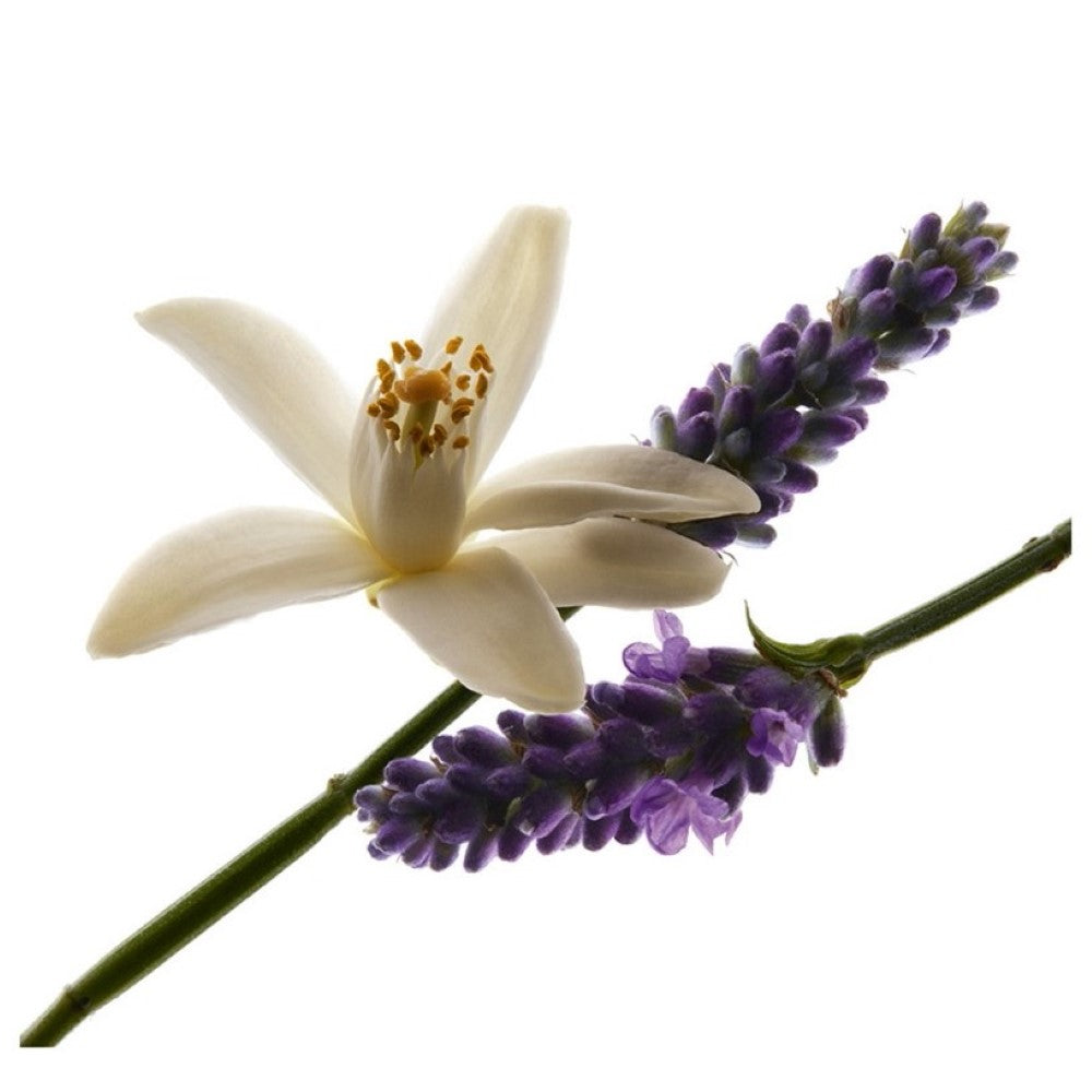 yves-saint-laurent-0-libre-edp-50ml-hol-2