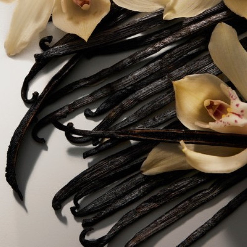 d-g-the-one-edp-50ml-3002479-3