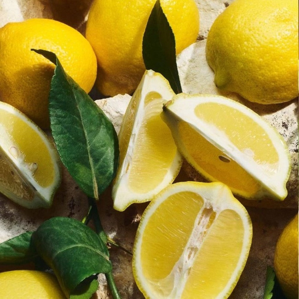 d-g-light-blue-pour-homme-edt-100ml-3003882-3