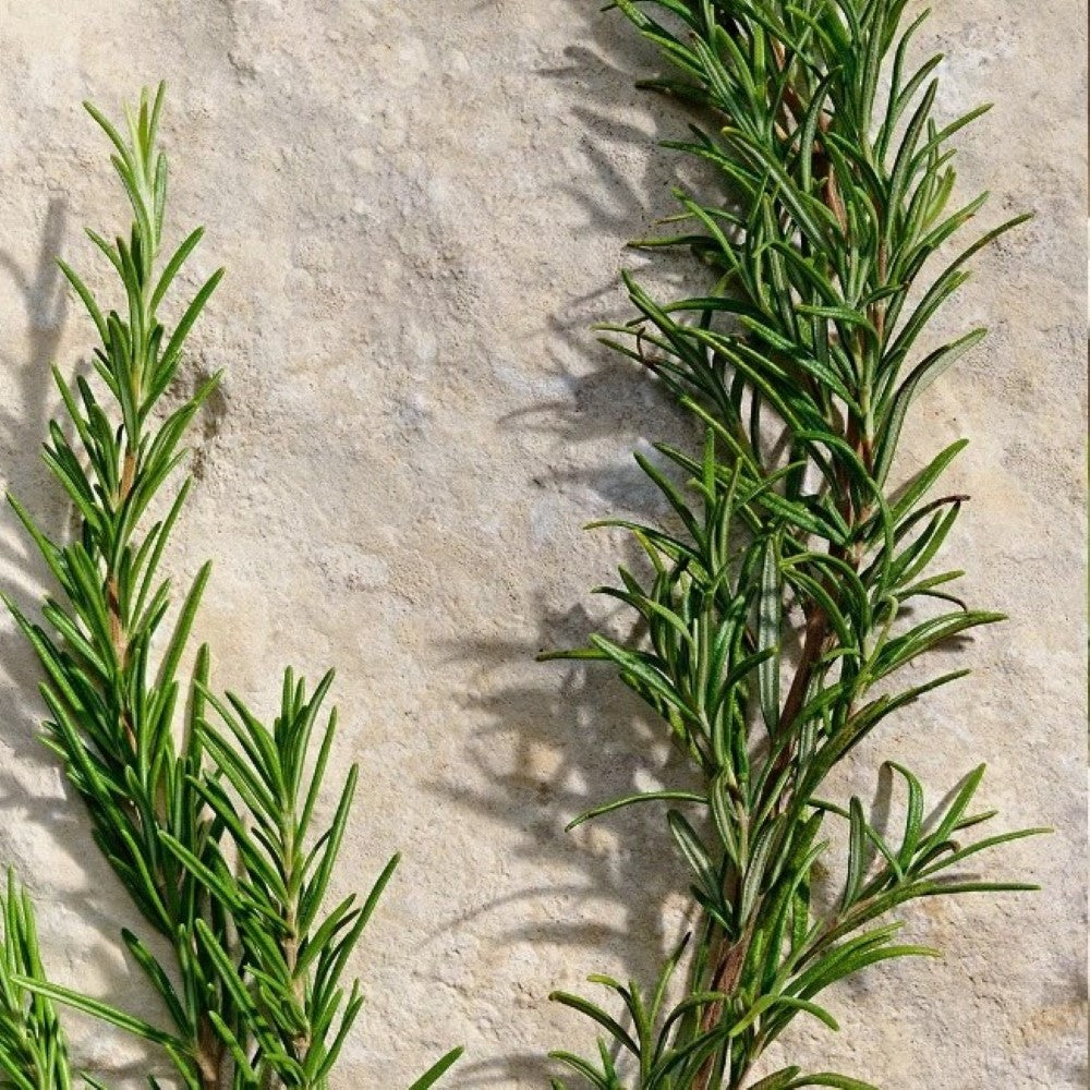 d-g-light-blue-pour-homme-edt-100ml-3003882-4