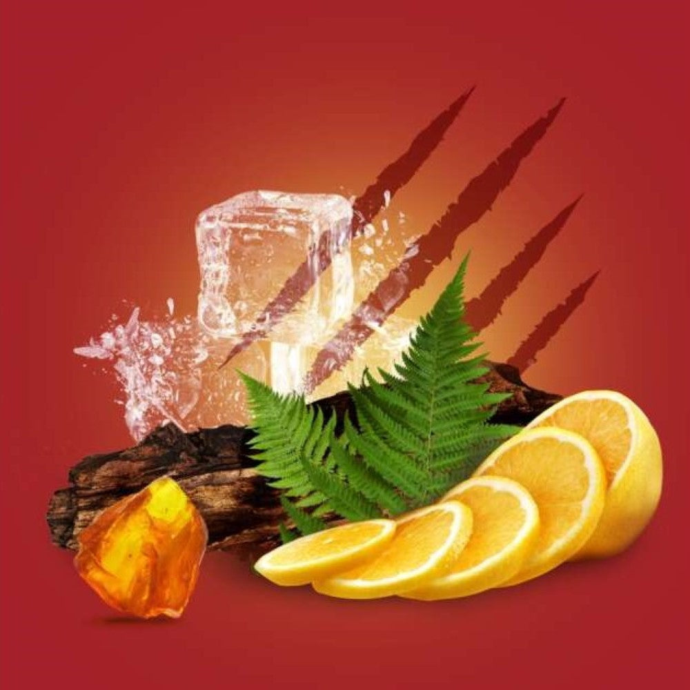 old-spice-captain-legend-4pce-gift-bag-set-c0039-4