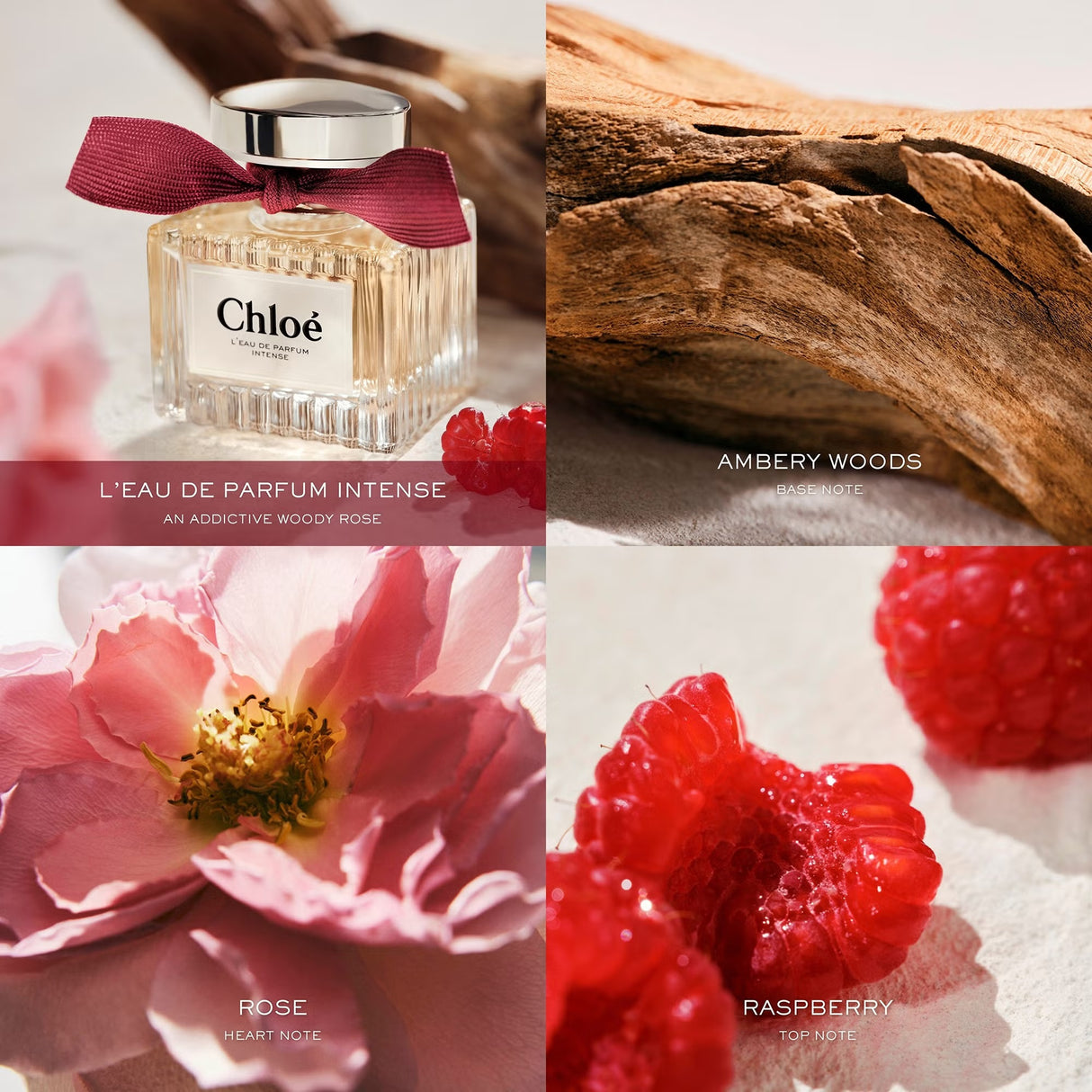 chloe-leau-de-parfum-intense-4
