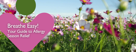 breathe-easy-your-guide-to-allergy-season-relief-with-mcgorisks-pharmacy