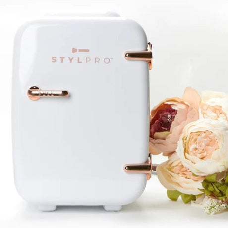 stylpro-xmas-25-beauty-fridge-bc60c-2