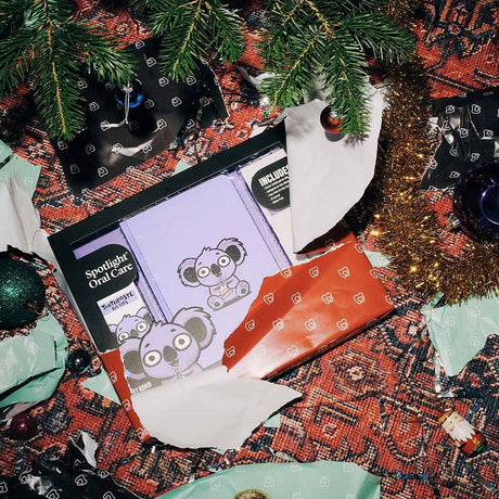 spotlight-xmas-25-for-kids-koko-the-koala-gift-set-6