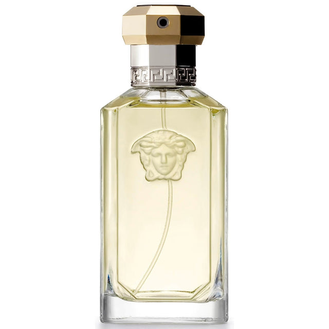 versace-dreamer-edt-100ml-spray-aft0626-1