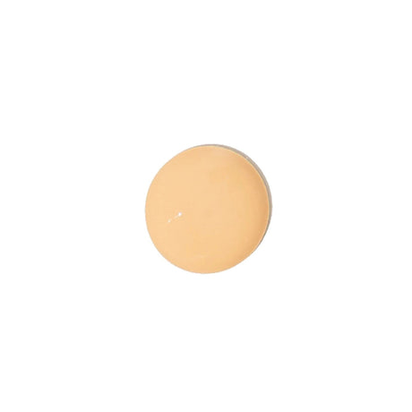 kash-beauty-miracle-tint-shade-2-kbst02-13