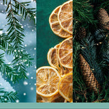 yankee-xmas-25-large-jar-holiday-winterfest-800344-2