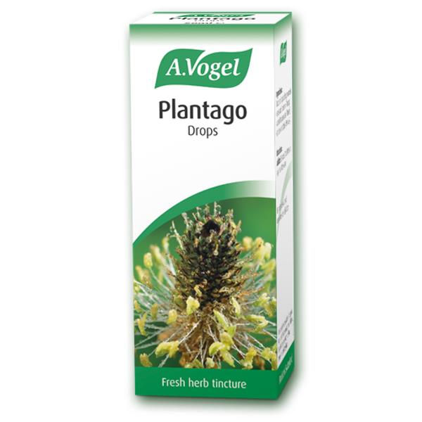 A.Vogel-Plantago-Lanceolata-Lance-Leaf-Plantin-50ml