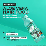 Garnier Moisturising Aloe Vera Hair Food Shampoo