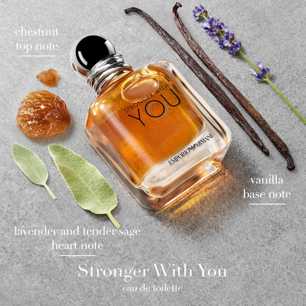 Armani Emporio Stronger With You Eau de Toilette